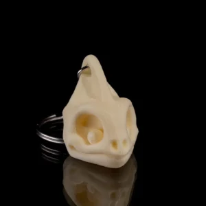 Skeleton Keychains Gekho