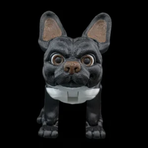 Stella, the French Bulldog